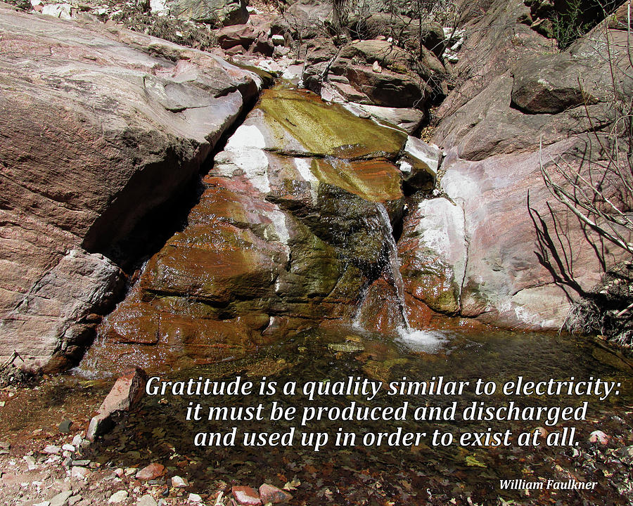 Gratitude is Like Electricity Digital Art by Julia L Wright