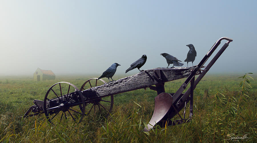 Bird Digital Art - Gratitude Of The Crows by M Spadecaller
