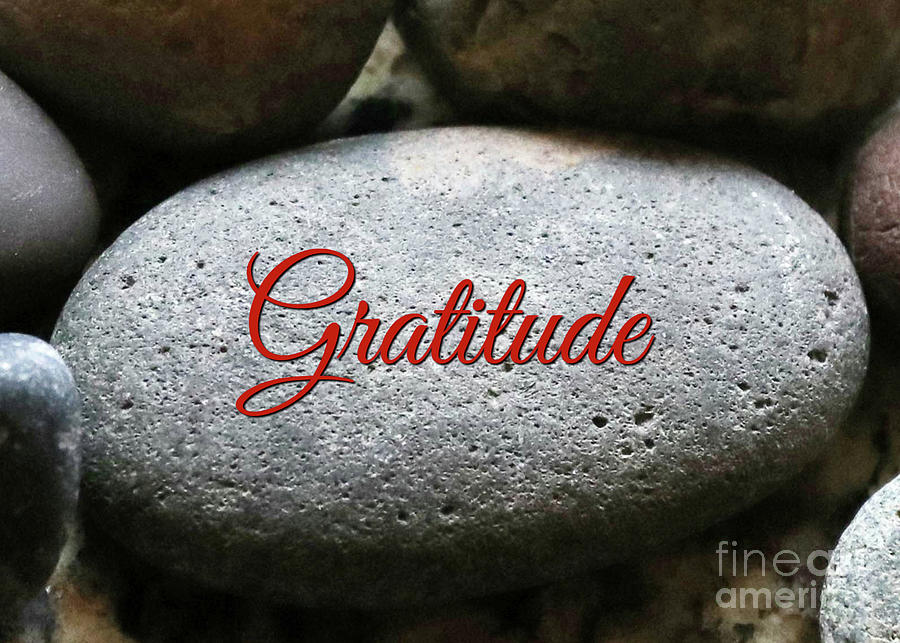 Gratitude Photograph by Stephanie Laird