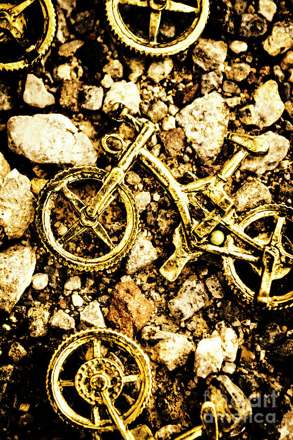 Gravel bikes Photograph by Jorgo Photography