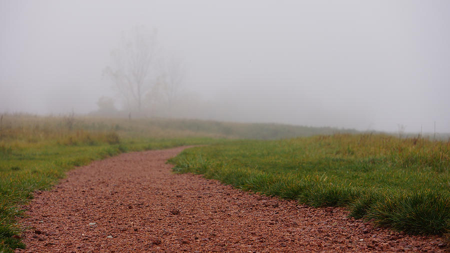 Gravel Path Fog Photograph by Brooke Bowdren