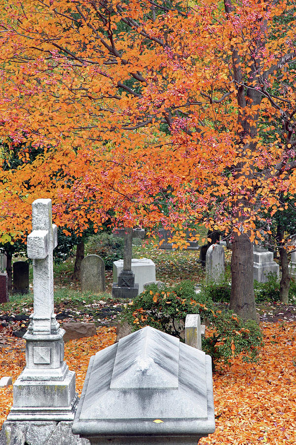 Graves With Autumn Leaves Photograph by Cora Wandel