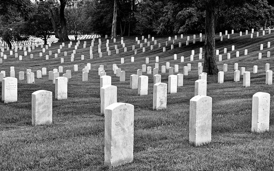 Gravestones at Arlington National Cemetery  Photograph by Brendan Reals