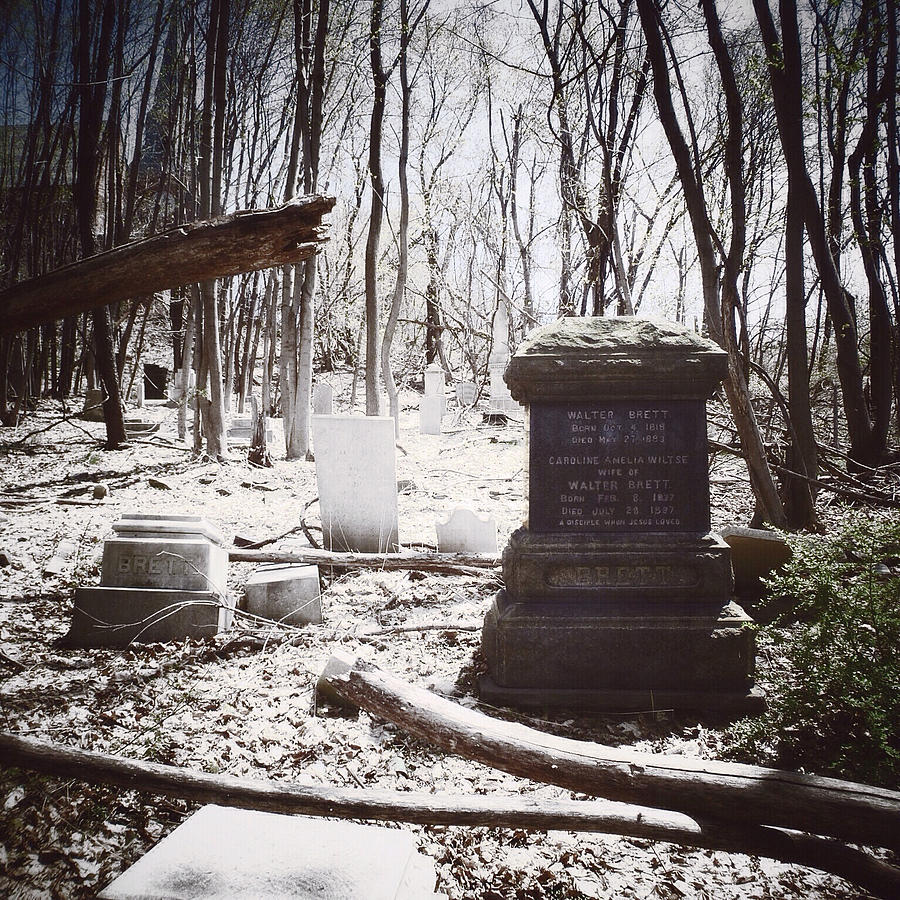 Gravestones of Dutchess County Photograph by Natasha Marco