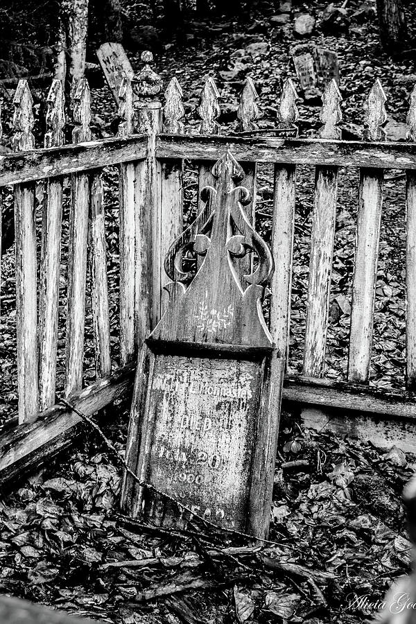 Black And White Photograph - Graveyard by Alicia Goodrich