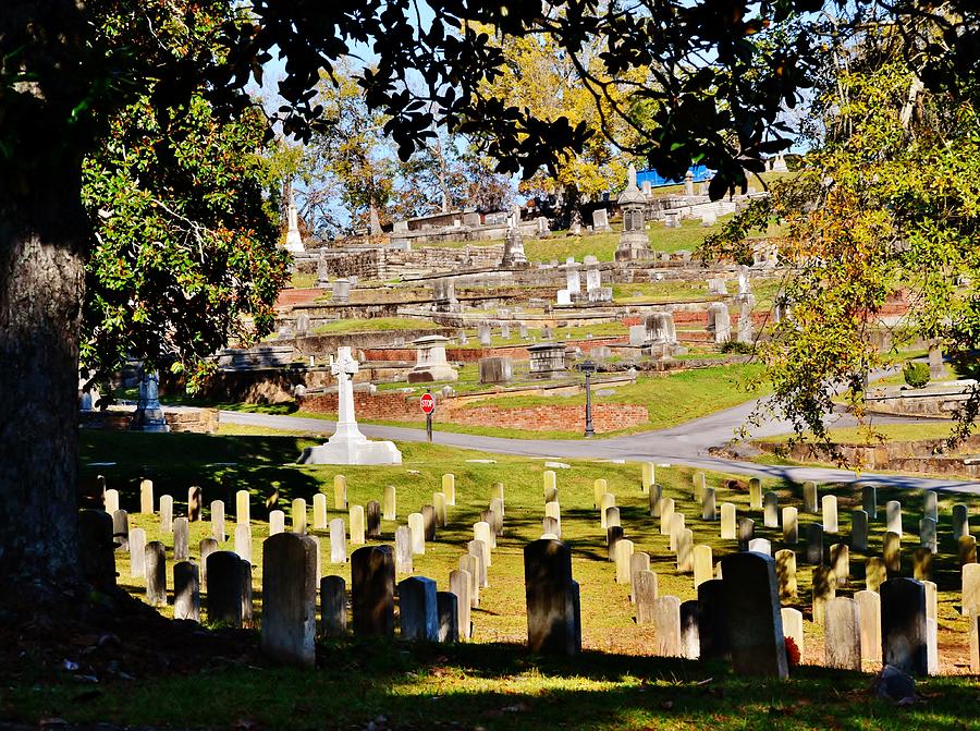 Graveyard Photograph by Eileen Brymer