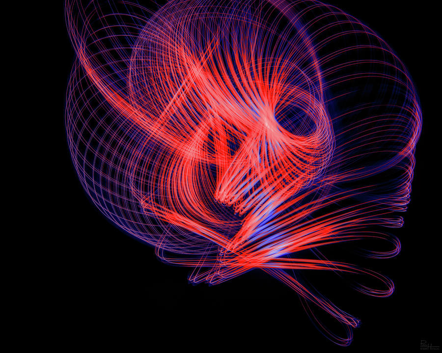 Gravity Warp Photograph by Peter Herman