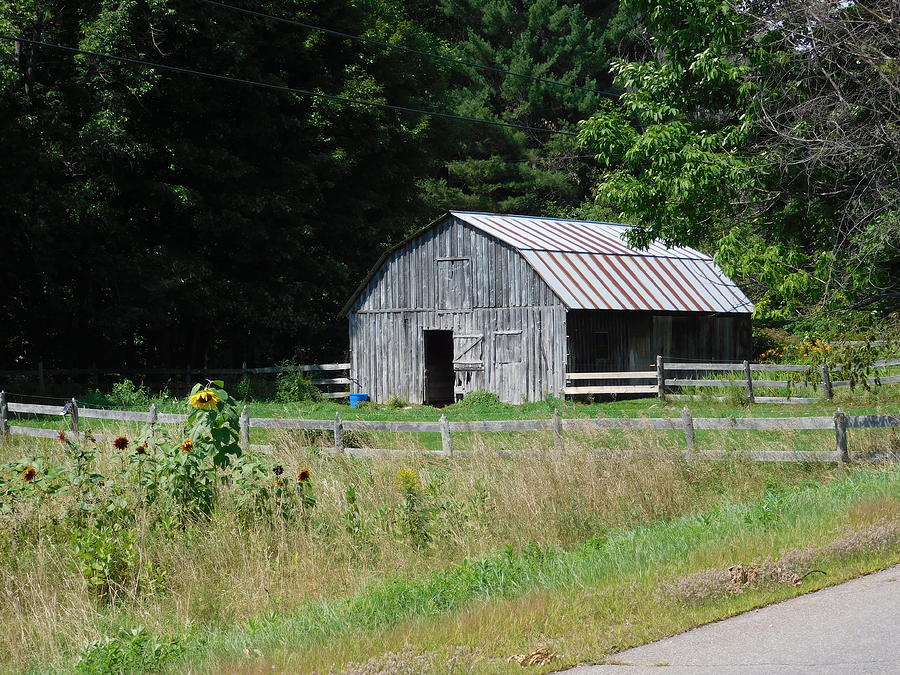 Gray Barn Photograph by Catherine Gagne