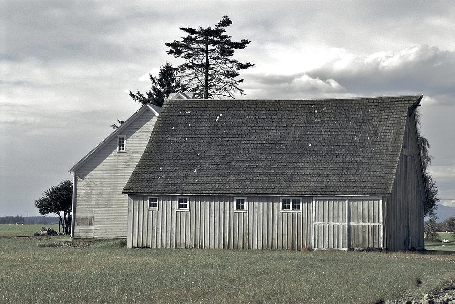 Gray Barn In Skagit County Photograph by Craig Perry-Ollila