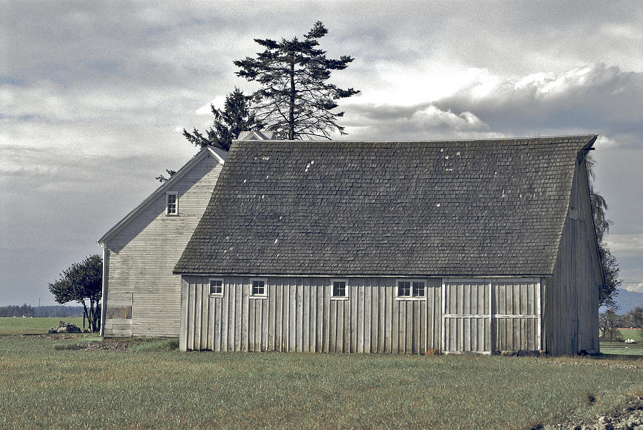 Barn Photograph - Gray barn of Skagit County by Craig Perry-Ollila