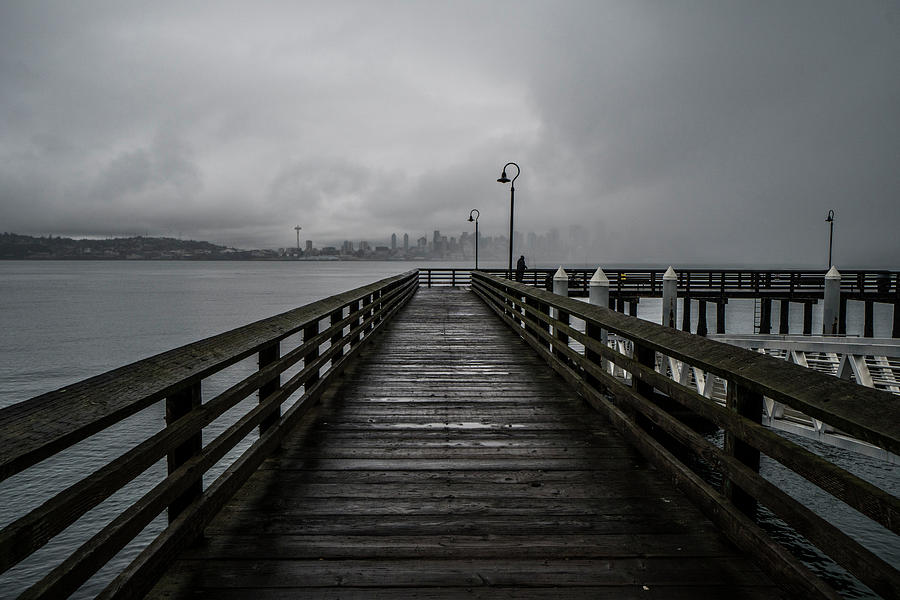 Gray Days In West Seattle Photograph by Matt McDonald