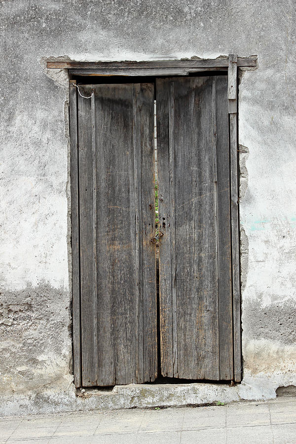 Gray Door in a Wall Photograph by Robert Hamm - Fine Art America