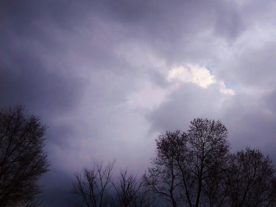 Nature Photograph - Gray Sky by Denise Irving