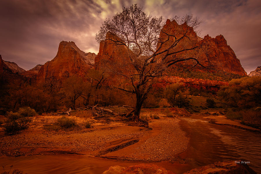 Zion National Park Photograph - Gray Sky Over Zion by Tim Bryan