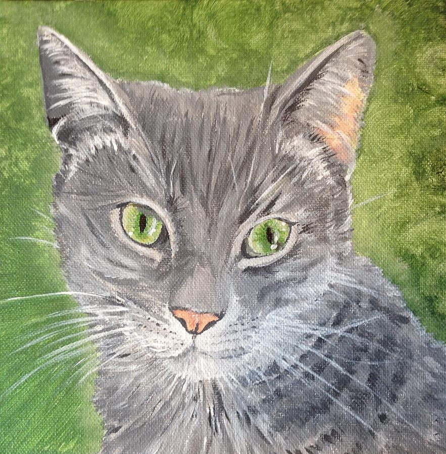 gray tabby cat with green eyes