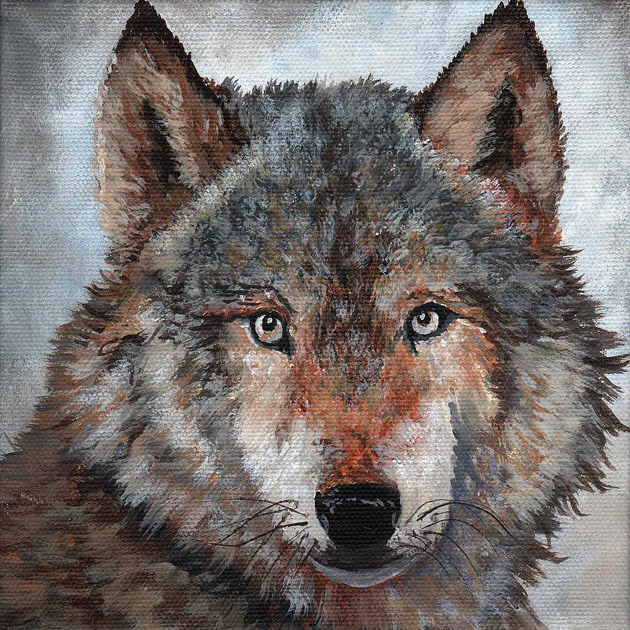 Gray Wolf Painting by Timithy L Gordon