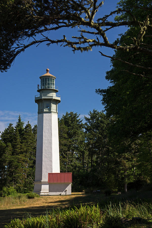 Grays Harbor Lighthouse VH Photograph by Inge Riis McDonald