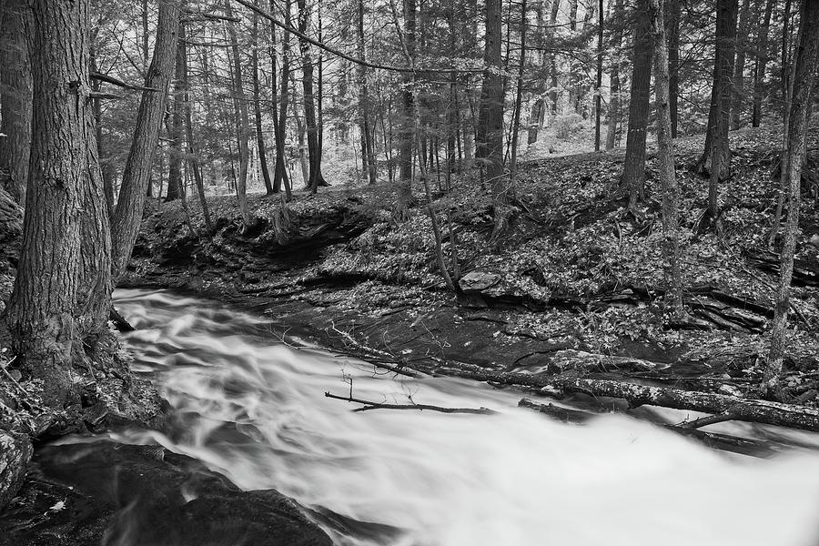 Grayville Cascades Black and White Photograph by Allan Van Gasbeck ...