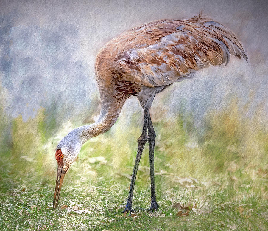 Grazin' In The Grass by Wes Iversen Grazin' In The Grass by Wes Iversen