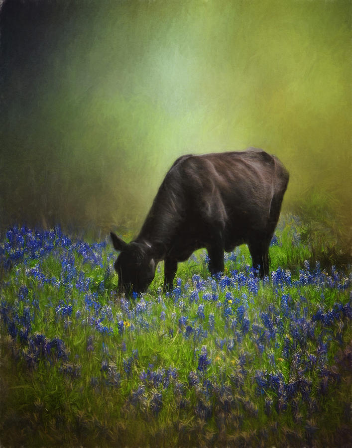 Grazing Among the Bluebonnets Photograph by David and Carol Kelly