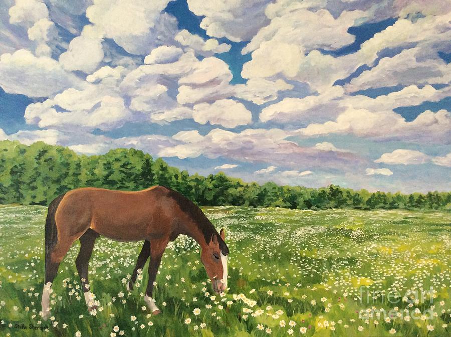 Horse Painting - Grazing Among the Daisies by Stella Sherman