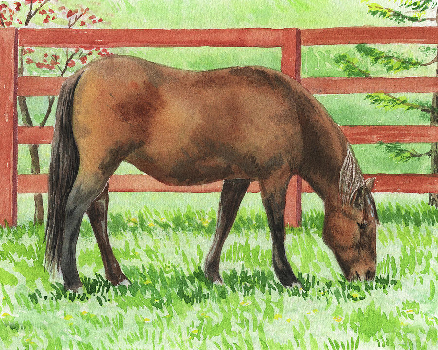 Grazing Horse Watercolor Painting Painting by Irina Sztukowski