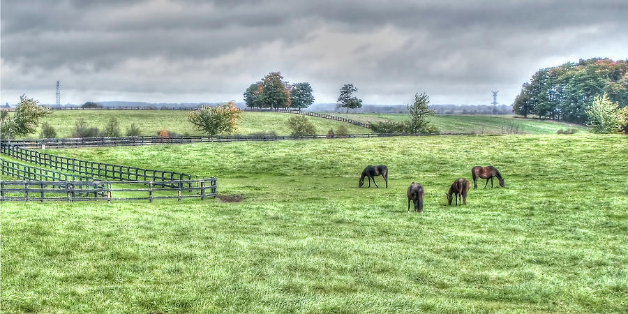 Grazing Pastures  Photograph by Leslie Montgomery