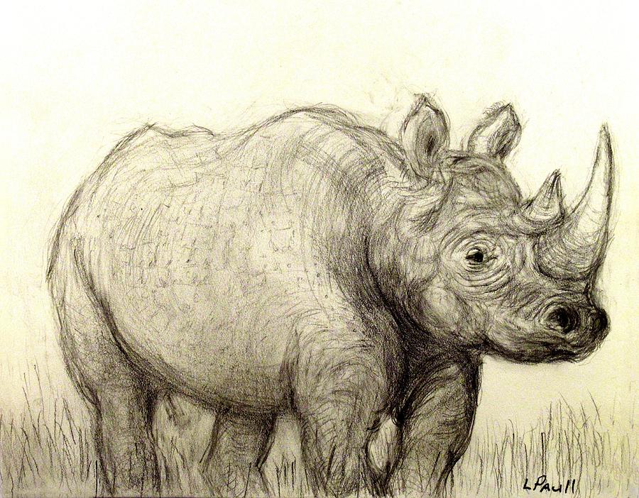 Grazing Rhino Drawing by Lawrence Paull - Pixels