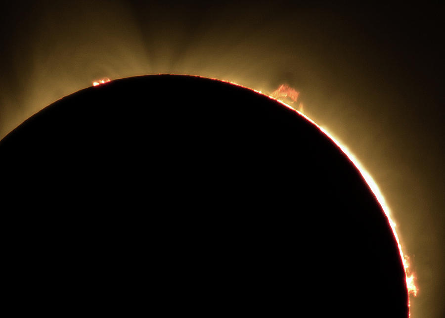 Great American Eclipse Prominence 5x7 as seen in Albany, Oregon. by John King Great American Eclipse Prominence 5x7 as seen in Albany, Oregon. by John King