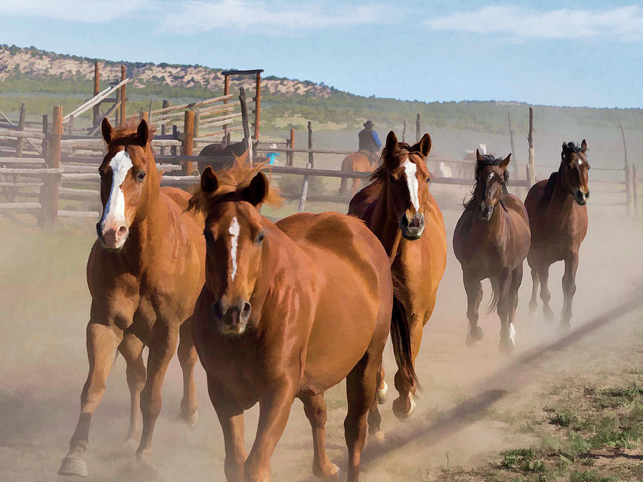 Great American Horse Drive - Coming into the Corrals by Nadja Rider Great American Horse Drive - Coming into the Corrals by Nadja Rider