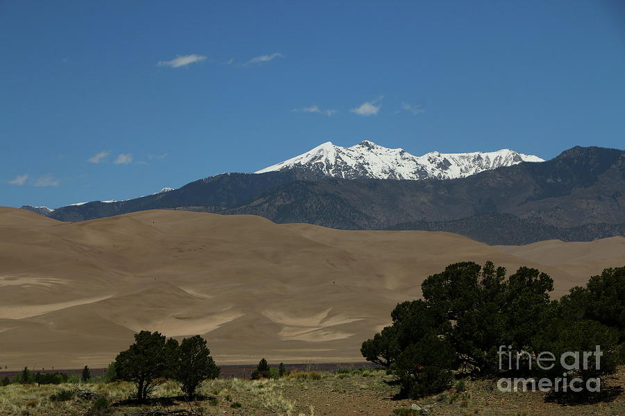 Great Sand Dunes and Mount Herard Photograph by Christiane Schulze Art And Photography