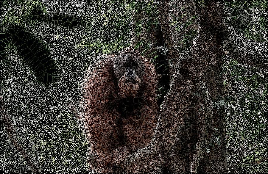 Great Ape Digital Art by Stephane Poirier