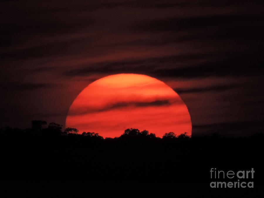 Great Ball of Fire Photograph by Marilee Noland - Fine Art America