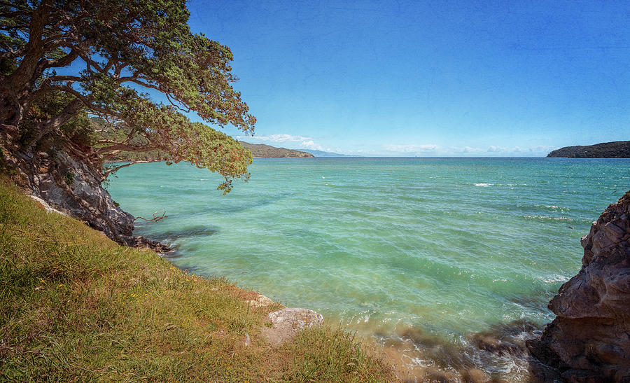 Great Barrier Island New Zealand Coastal View Photograph