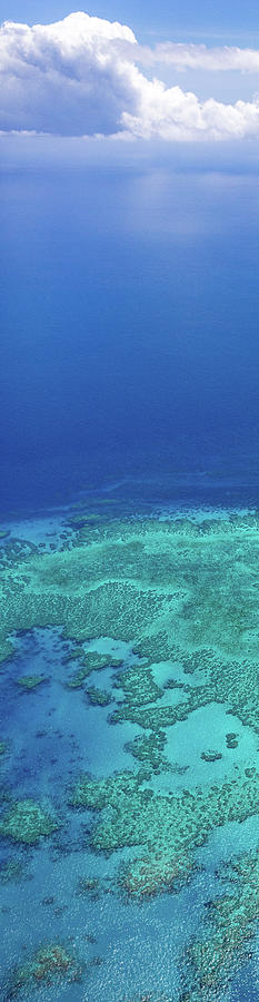 Great Barrier Reef Photograph by Francesco Riccardo Iacomino