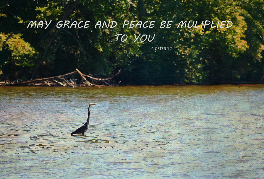 Great Blue Heron At Sunset With Scripture Photograph by Sandi OReilly
