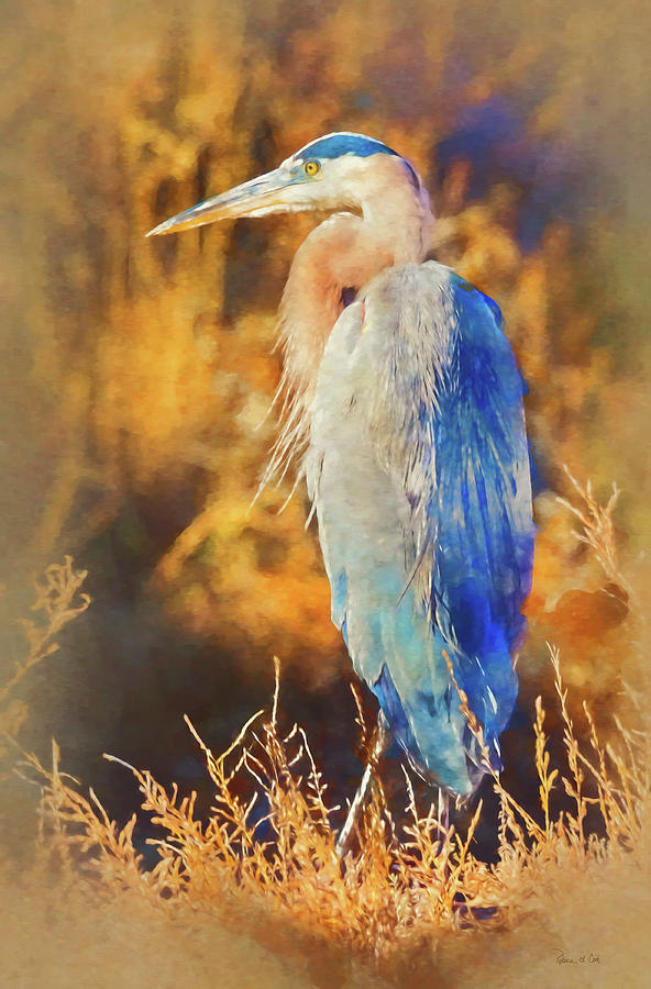 Great Blue Heron Photograph by Bellesouth Studio
