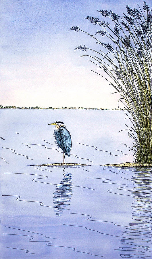 Great Blue Heron Painting by Charles Harden