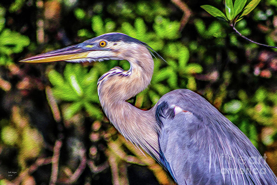 Great Blue Heron  Painting by DB Hayes
