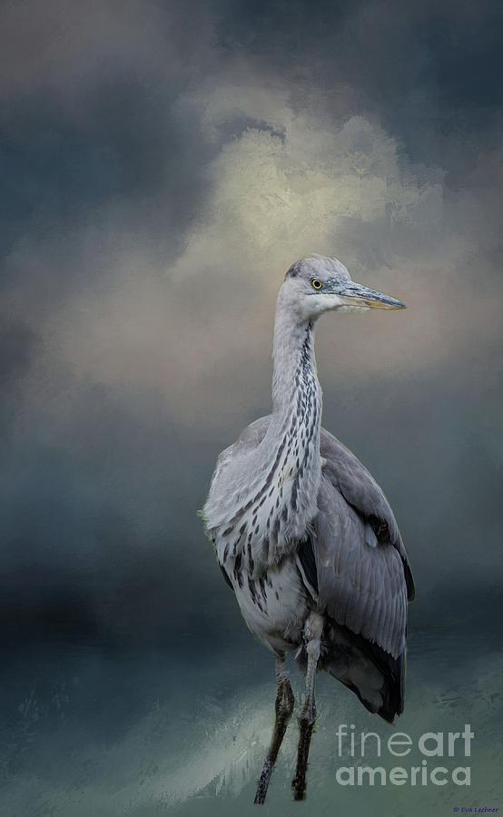 Bird Photograph - Great Blue Heron by Eva Lechner