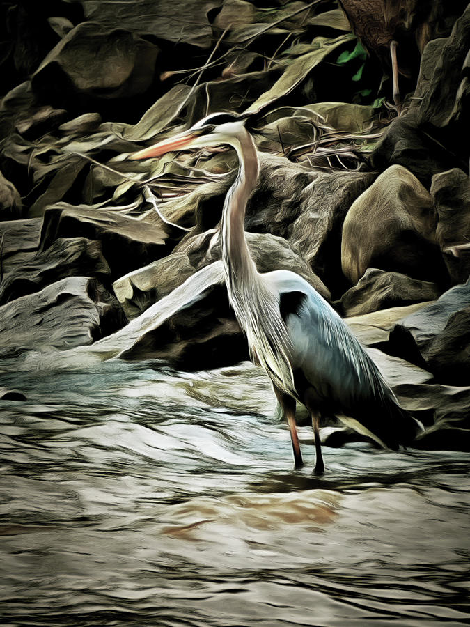 Great Blue Heron Digital Art by Leslie Montgomery