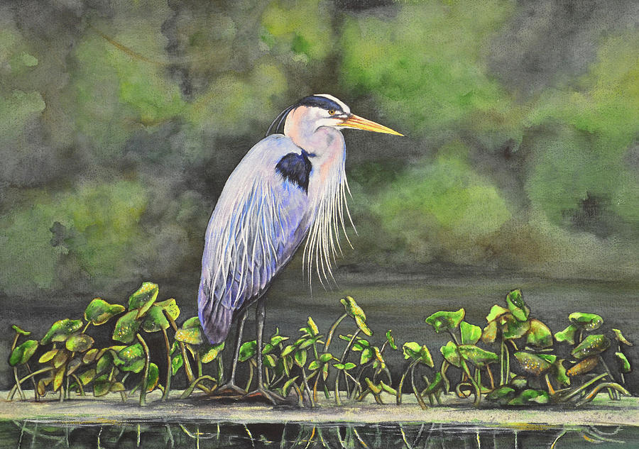 Great Blue Heron on Lily Pad Painting by Laurie Tietjen