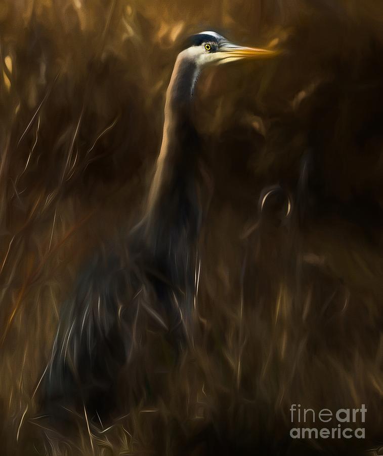 Great Blue Heron Mixed Media by Sal Ahmed