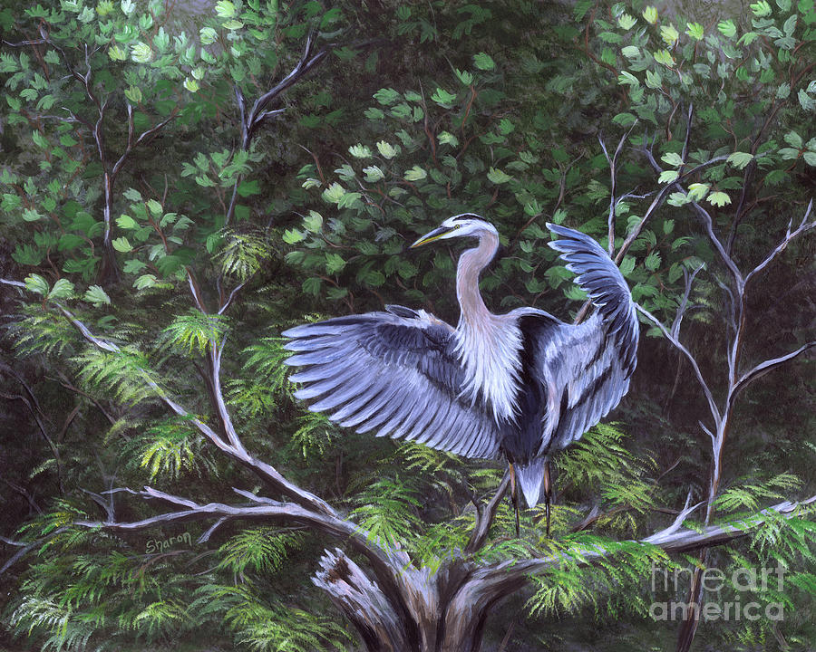 Great Blue Heron Showing Off Painting by Sharon Molinaro