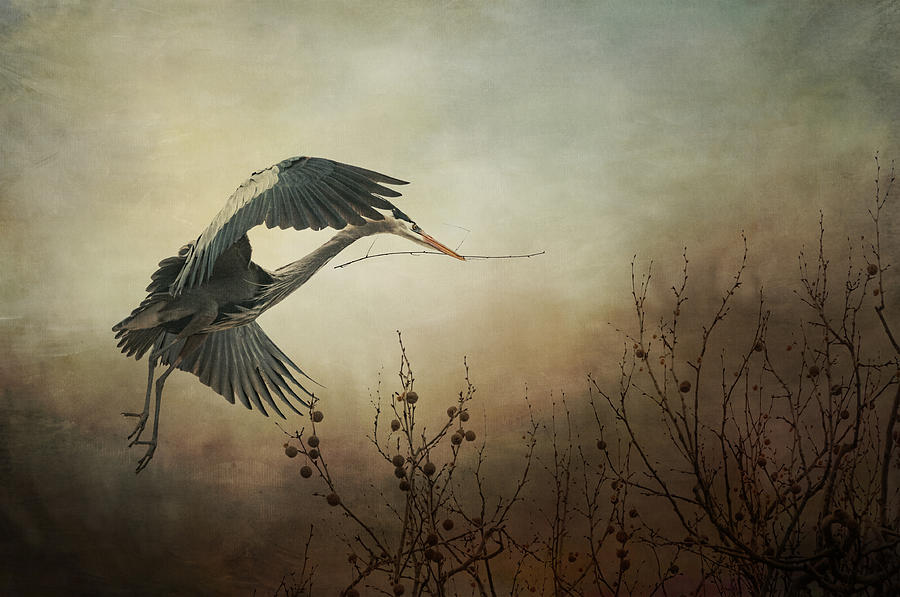 Cuyahoga Valley National Park Photograph - Great Blue Heron - Textured Photograph by SharaLee Art