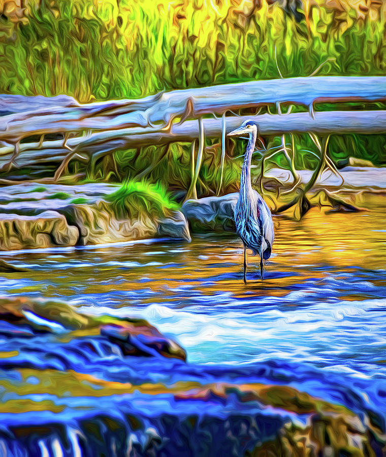 Great Blue Heron - The Hunter 2 - Paint Photograph by Steve Harrington