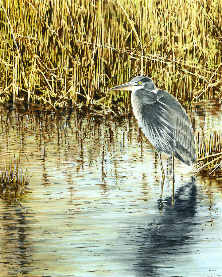 Great Blue Heron Painting by Thomas Hamm