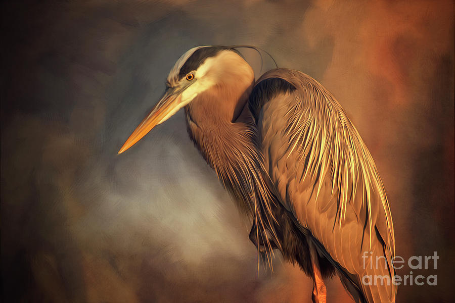 Great Blue Heron Photograph by Tim Wemple