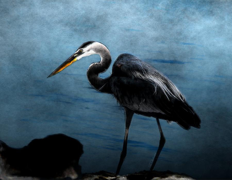 Heron Painting - Great Blue On The Rocks by Barbara Chichester