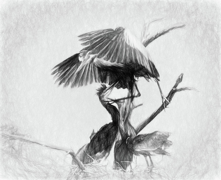 Great Blues II Sketch by Dawn J Benko Great Blues II Sketch by Dawn J Benko